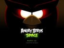 Náhled k programu Angry Birds Space ke stažení